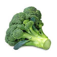 100% Natural 1OZ Broccoli Seed Oil